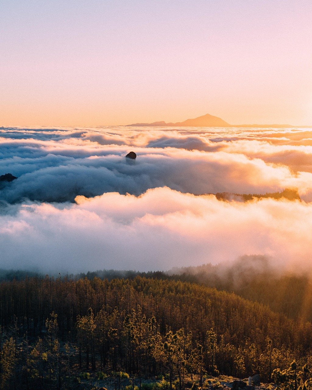 A Taste of the Blue Mountains